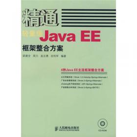 你必须知道的261个Java语言问题