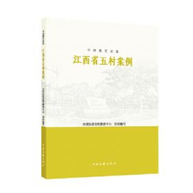 中国脱贫攻坚：贵州省五村案例