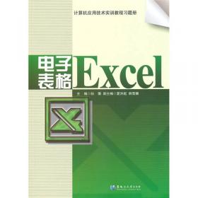 计算机应用技术实训教程：电子表格Excel