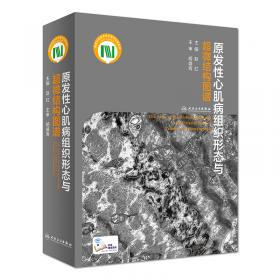 Fireworks MX 2004中文版基础与应用（网页设计课程）