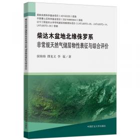 柴达木盆地石油天然气勘探开发技术（卷3）