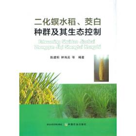 马王堆汉墓漆器整理与研究（套装上中下册）/湖南省博物馆藏品研究大系