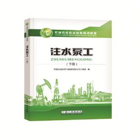 注水井生产故障分析与处理（套装共11册）/采油工安全生产标准化操作丛书