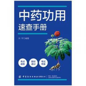 智慧熊作文：50名校分类作文代表作·初中版