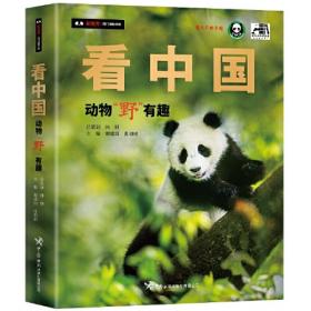看中国（英文版） The BIG Book of CHINA