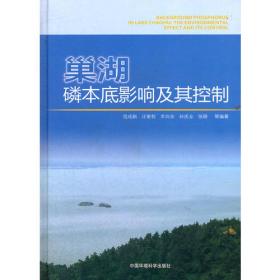 巢湖流域/中国地理百科
