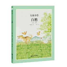 丰子恺儿童文学全集·华瞻的日记·漫画插图版