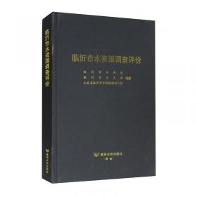 临沂矿业集团公司志：1991—2020