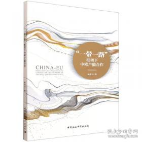 “一带一路”人口与发展——非欧美洲篇