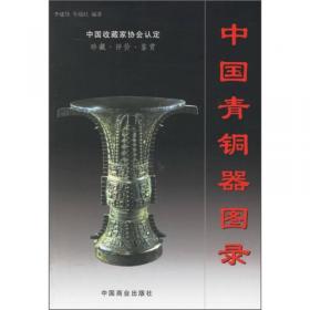 中國青銅器圖錄（上下）
