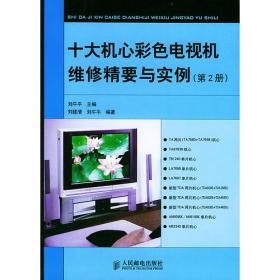 十大机心彩色电视机维修精要与实例(第3册)