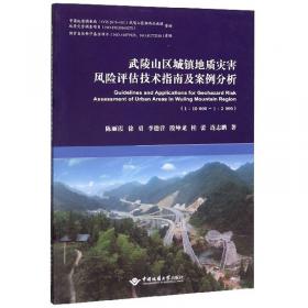 重庆市三峡库区滑坡涌浪灾害评价与风险评估技术要求