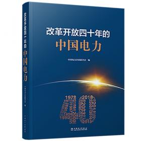 中国电力行业年度发展报告2021