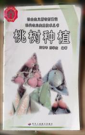 植物精油养生