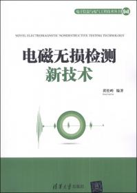 漏磁成像理论与方法/电子信息与电气工程技术丛书