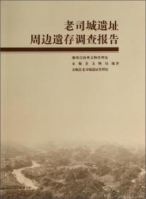 老司城遗址考古发掘报告（2013-2014）