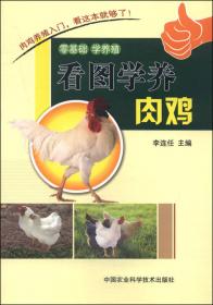 一本书读懂安全养殖系列--一本书读懂安全养肉羊