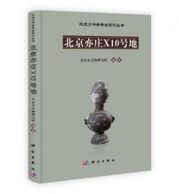 北京文物与考古系列丛书：北京龙泉务窑辽代瓷器科技研究