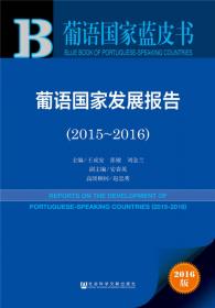 葡语国家蓝皮书：葡语国家发展报告（2021）