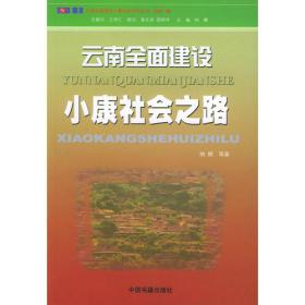 2010~2011云南政治文明建设报告