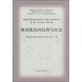 新疆少数民族民间信仰与民族社会研究丛书：田野与实践