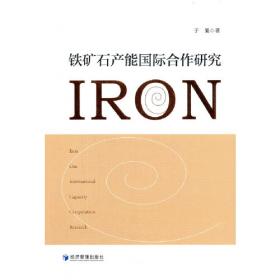 铁矿石资源约束下的中国钢铁工业可持续发展研究\杨丽梅