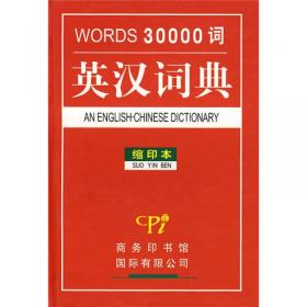 英汉词典：WORD30000词（双色版）