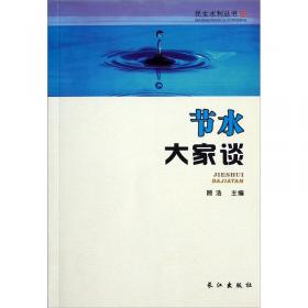中国水利现代化研究