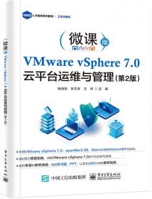 VMware Virtual SAN权威指南