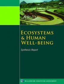 Ecosystem Services and Management Strategy in China (Springer Earth System Sciences)