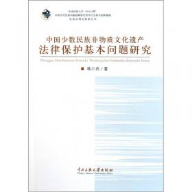 中国民族立法制度研究