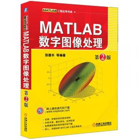 精通MATLAB：MATLAB R2016a智能计算25个案例分析