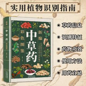 新编英语语法词典