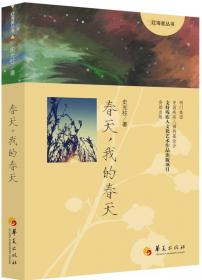 红海棠丛书：神秘的摩天宫