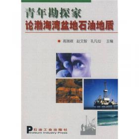 中国油气新区勘探：中国南方海相油气地质及勘探前景（第5卷）