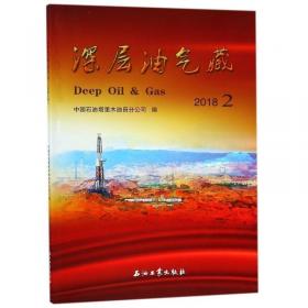 深层火山岩气藏增产改造技术