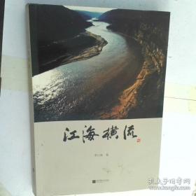 大国复兴：中国经济的信心与干法