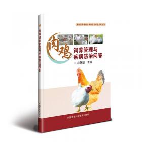 肉鸭饲养管理与疾病防治问答/畜禽饲养管理与疾病防治问答系列丛书