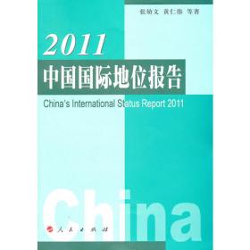 2007中国国际地位报告