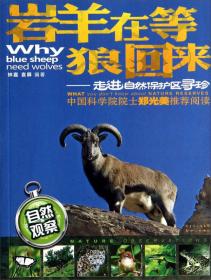 岩羊 : 蒙古文