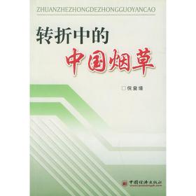 转折与新变：新时期文学史论/中国新文学发展史研究丛书