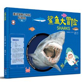 鲨鱼经济学2企业管理经济学书籍