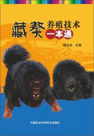 北京狮子犬
