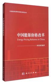 中国能源发展报告2020