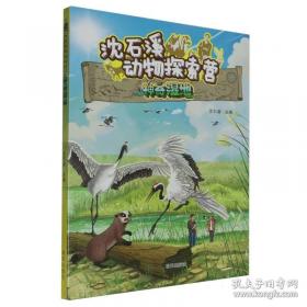 沈石溪激情动物小说  