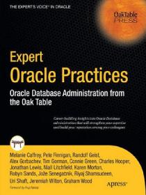 Expert Oracle Database Architecture：9i and 10g Programming Techniques and Solutions