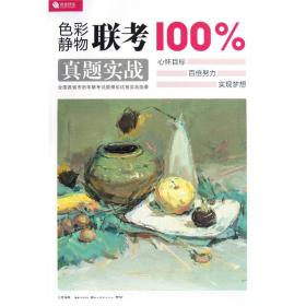 中国美术教育实践：速写教学