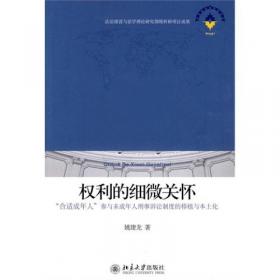 上海政法学院学术文库：少年法院的学理论证与方案设计