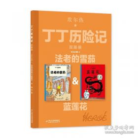 丁丁历险记·独角兽号的秘密