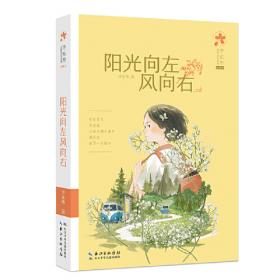 薇拉的天空 百年百部精装典藏版 李东华青春成长小说